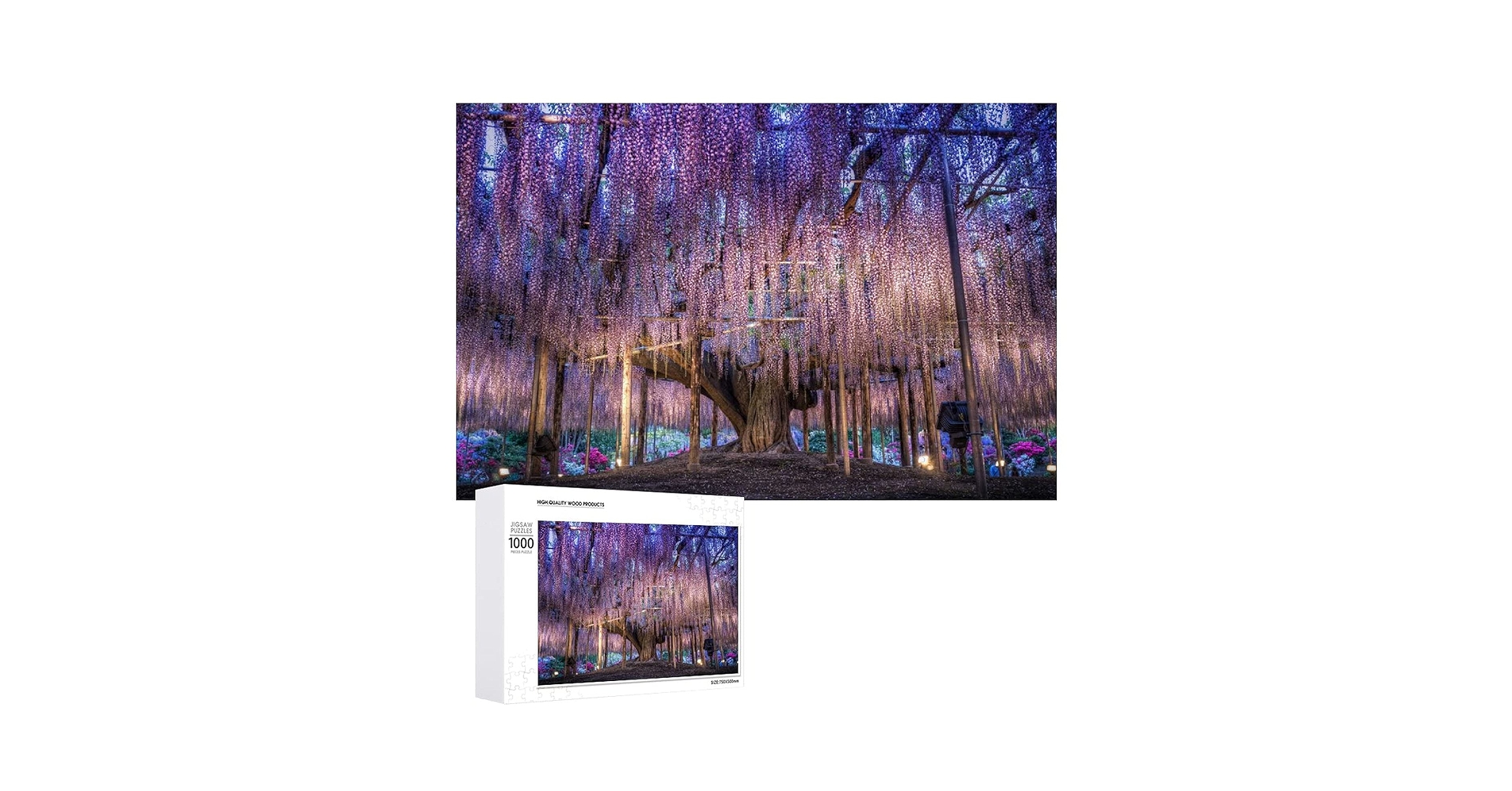 81+etIXi+8S.jpg_BO30,255,255,